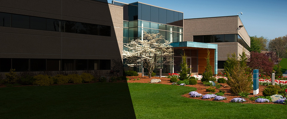 Drayton Plains Landscapers