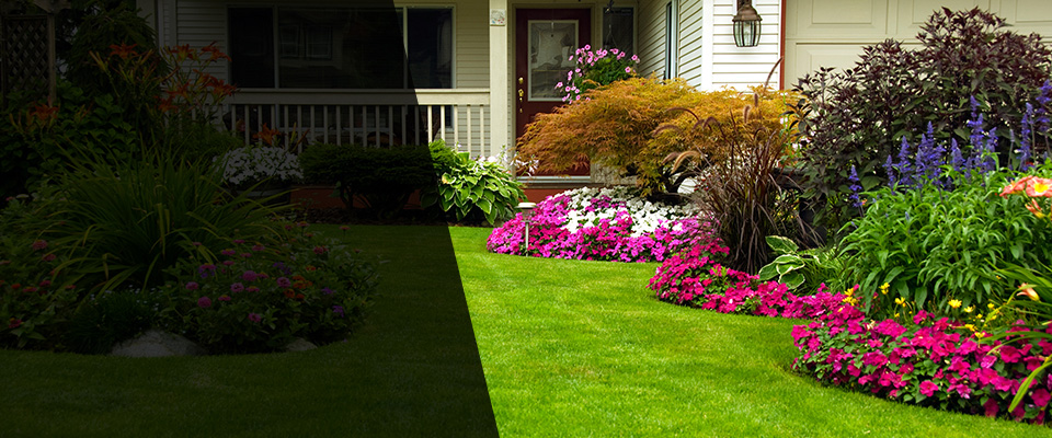 Drayton Plains Landscapers