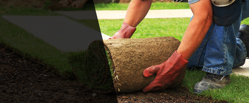 Drayton Plains Landscapers